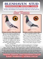 Pigeon Advert - 5070967 & 5150841 130712.pdf