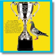 Pigeon-Advert-Race-Team-300810.pdf