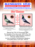 Pigeon Advert - Thones 5148866 & 8536.pdf