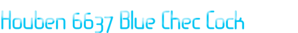 Houben 6637 Blue Chec Cock