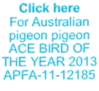 Click here For Australian pigeon pigeon ACE BIRD OF THE YEAR 2013 APFA-11-12185