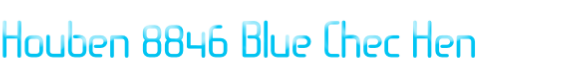 Houben 8846 Blue Chec Hen