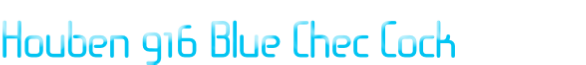 Houben 916 Blue Chec Cock