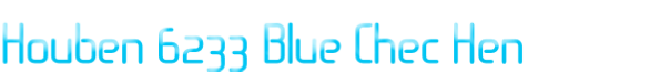 Houben 6233 Blue Chec Hen
