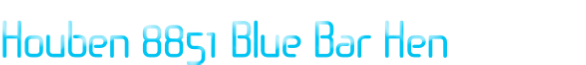 Houben 8851 Blue Bar Hen