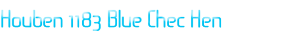 Houben 1183 Blue Chec Hen