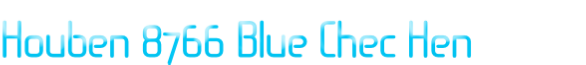 Houben 8766 Blue Chec Hen