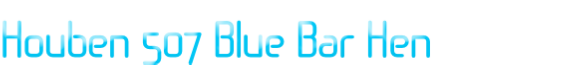 Houben 507 Blue Bar Hen