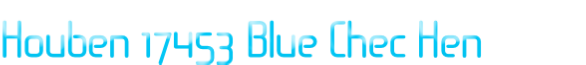 Houben 17453 Blue Chec Hen